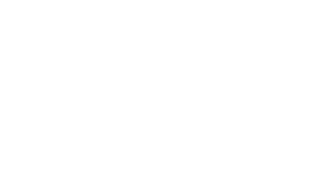 Undodez_Logo_W