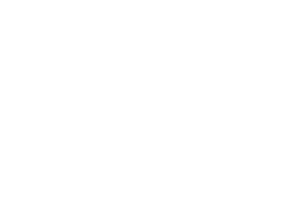 logo_ao_norte_W