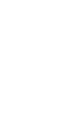 logo_ribeiran_W