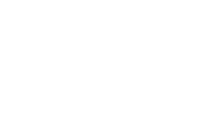 serbelt_logo